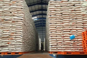 Cadangan Beras Ri Melonjak Jadi 4,2 Juta Ton, Ini 5 Kebijakan Yang Jadi Pendorongnya Cadangan Beras Ri Melonjak Jadi 4,2 Juta Ton, Ini 5 Kebijakan Yang Jadi Pendorongnya