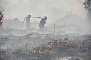 Haze: Do Not Stop at Apologies