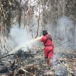 PENANGANAN KARHUTLA TERUS DILAKUKAN, JUMLAH TITIK PANAS SEMAKIN MENURUN WhatsApp Image 2026-10-11 at 14.05.37-2 (1)