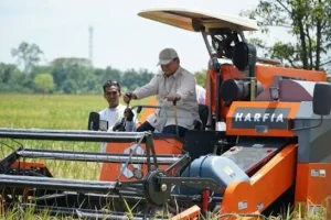 2 Tahun Pemerintahan Prabowo, Stok Beras Naik 7 Kali Lipat Berkat Kebijakan Lorong Sepi