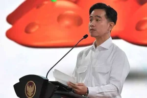Jangan Gegabah Mendorong Pemakzulan Wapres Gibran Jangan Gegabah Mendorong Pemakzulan Wapres Gibran
