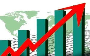 Indonesian Economy: Discipline Amidst Pressure